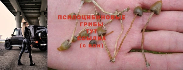 крисы Абдулино
