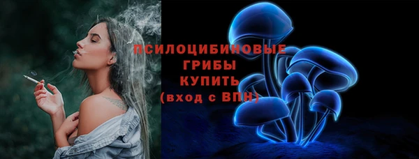 синтетический гашиш Новодвинск